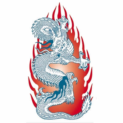 �^�g�D�[�V�[���@�Ή��h���S���E��