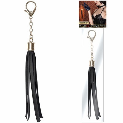 �t�F�e�B�V�Y���@�X�g���b�v�X�p���L���O�@�i�a�j