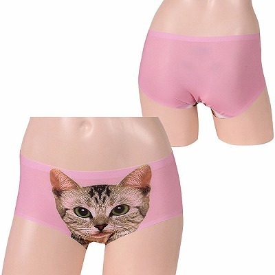 �L���b�g�v�����g���[���C�Y�{�N�T�[�@�s���N