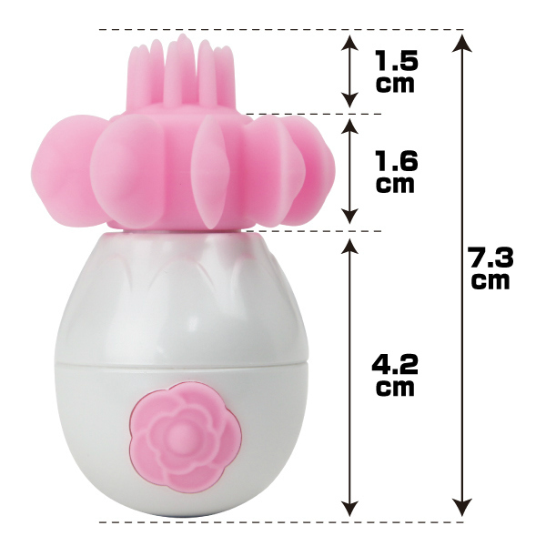 �j�����������@�r�o�h�q�`�k�i�X�p�C�����j