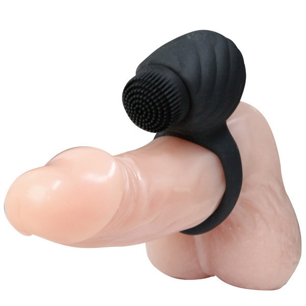 �v���e�B���u�@�i���[�^���[�u���V�j