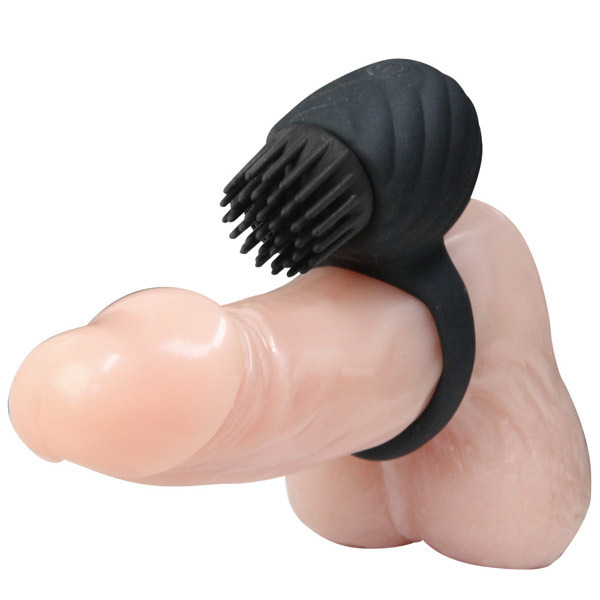 �v���e�B���u�@�i���[�^���[�����O�u���V�j