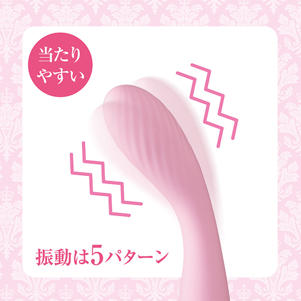 �p���������f���@�r���������@�u�������i�N�C�[���Y�@�X�e�B�b�N�@�o�C�u�j